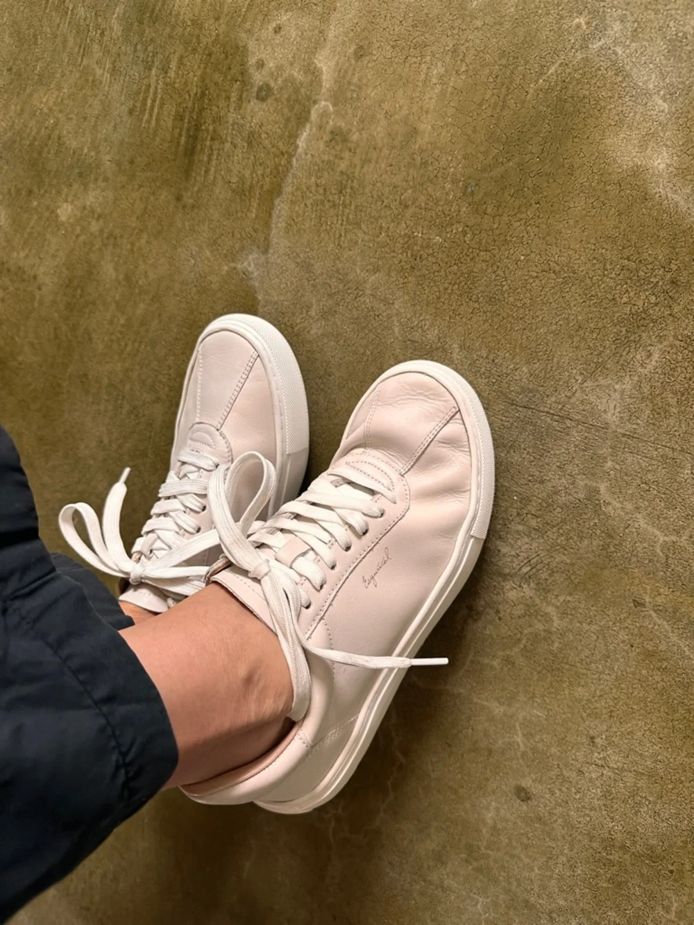 Esquivel X women classic